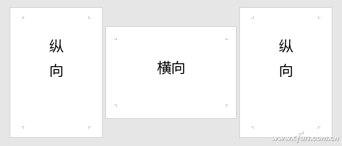 Word“难题”横竖页面共存这样做(图1)