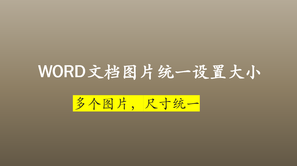 WORD文档里如何快速调整图片的尺寸?统一图片尺寸(图1)