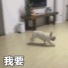 这么多查看Word文档的方法,你不会才知道吧?这些年的Word白用了(图1)