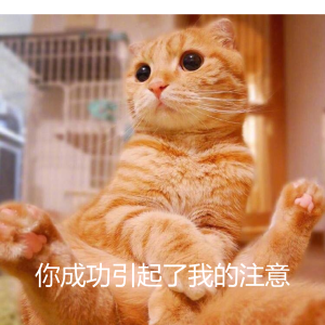电脑/玩转Word快捷键,这六大快捷键,你知道多少?(图2)