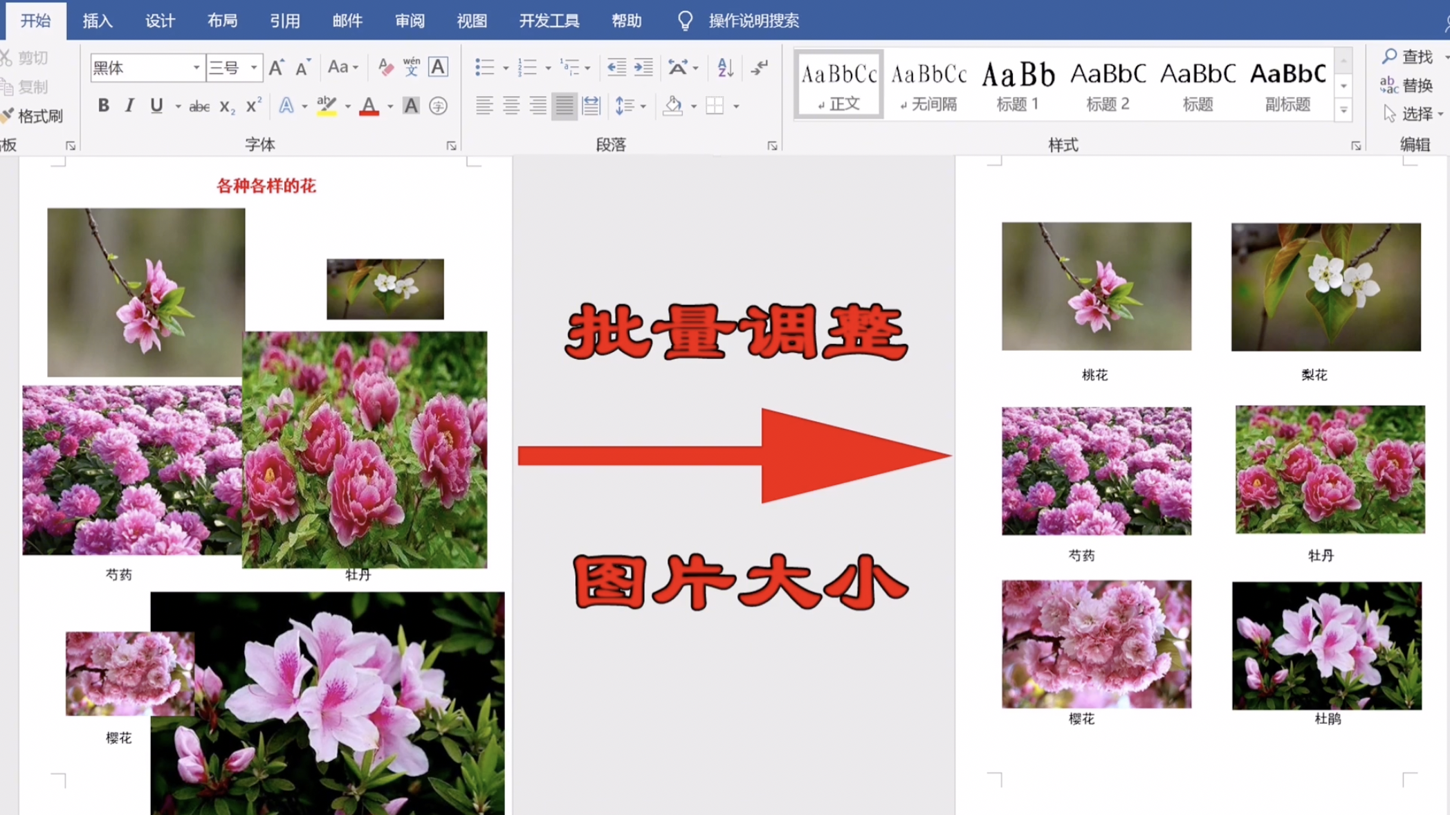 Word文档批量把所有图片调整为相同大小,这个方法简单又实用(图1)