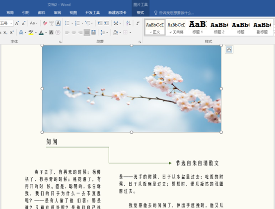 Word图文排版技巧,高效美化,让你的文章提升不止一个档次(图3)