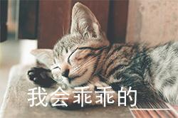 Word中实用的6个小技巧,全会的人才算是大神,你确定你会吗?(图1)