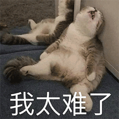 Word中烦人的东西就是删不掉?这里有详细的解决方法!一看就懂(图1)