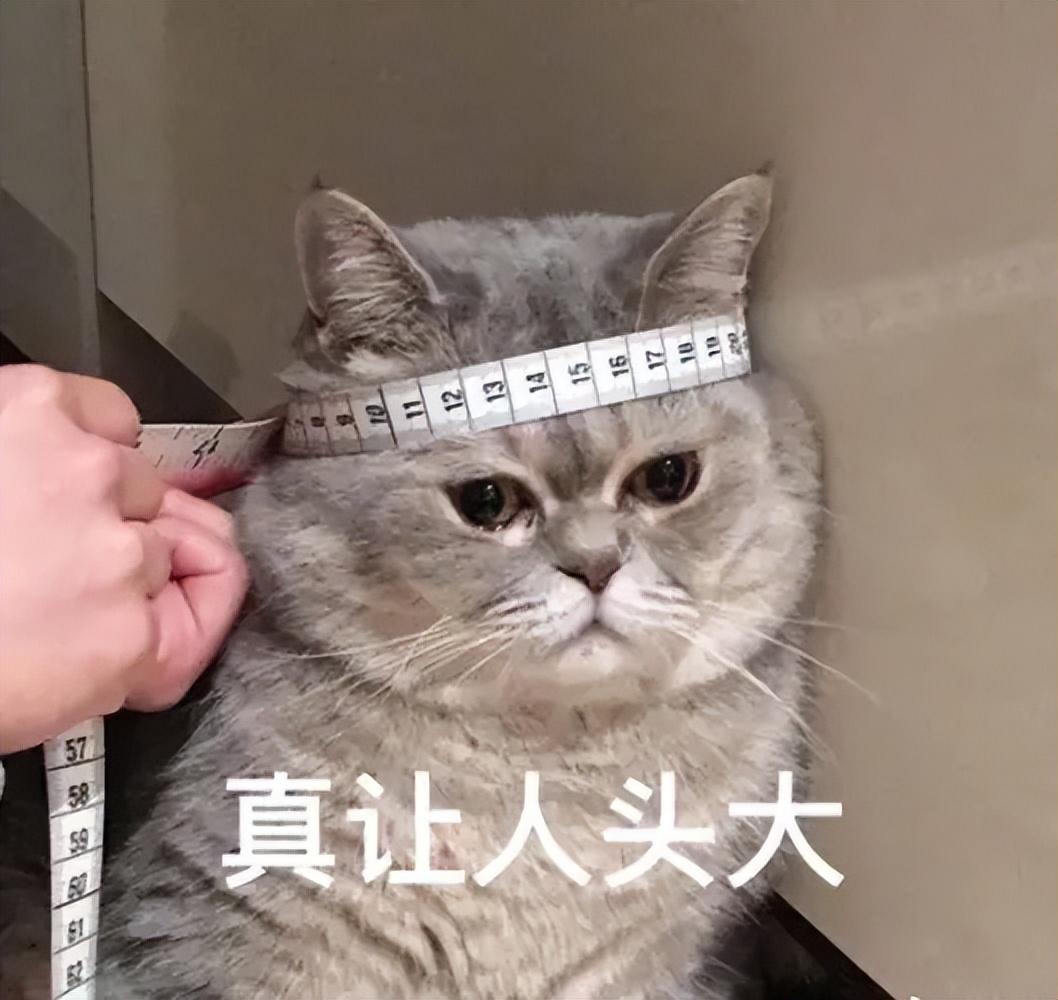 简单3招,把PPT做出高级感!小白也能学(图15)