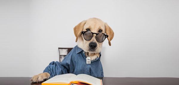 不要再说“I work hard“啦!还有十种更好的表达(图1)