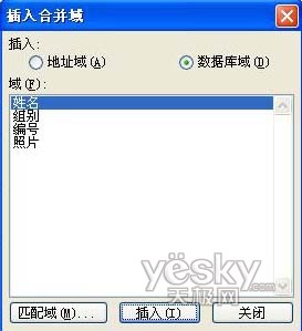 Word邮件合并实例:批量制作有照片的工作证