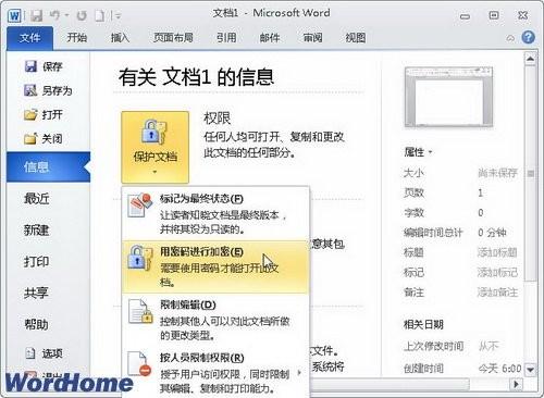 了解Word2010中的