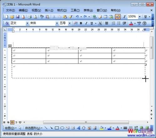 Word2003表格调整行的高度.宽度和间距(图5) Word2003表格调整行的高度.宽度和间距