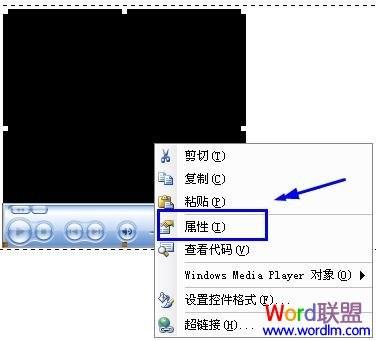 在word中插入音乐(图7) 在word中插入音乐