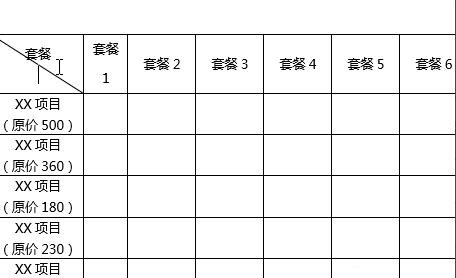 word怎么绘制一份营销型表格的套餐价格表?(图11) word怎么绘制一份营销型表格的套餐价格表?(图11)