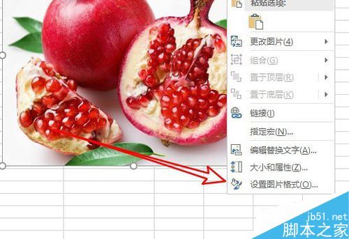 Excel2019怎么给图片设置边框?Excel2019图片边框设置教程(图3) Excel2019怎么给图片设置边框?Excel2019图片边框设置教程(图3)