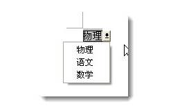word下拉型窗体域怎么使用? word下拉选择列表创建方法(图12) word下拉型窗体域怎么使用? word下拉选择列表创建方法(图12)