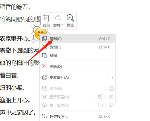 Word怎么批量将指定文字替换为图片?(图4) Word怎么批量将指定文字替换为图片?(图4)