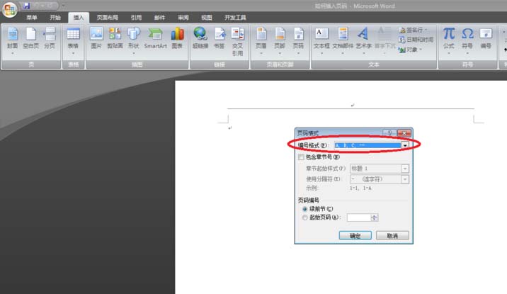 word中怎么插入abcd英文字母的页码?(图5)