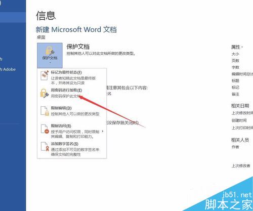 word2016如何设置密码保护?word2016加密文档教程(图4) word2016如何设置密码保护?word2016加密文档教程