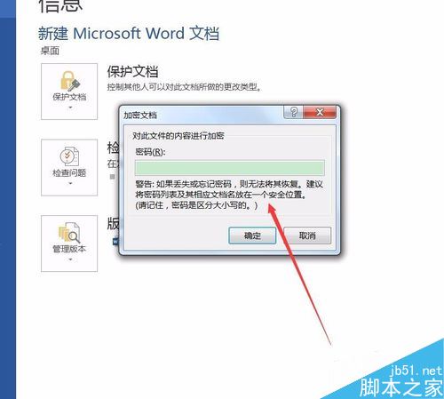 word2016如何设置密码保护?word2016加密文档教程(图5) word2016如何设置密码保护?word2016加密文档教程