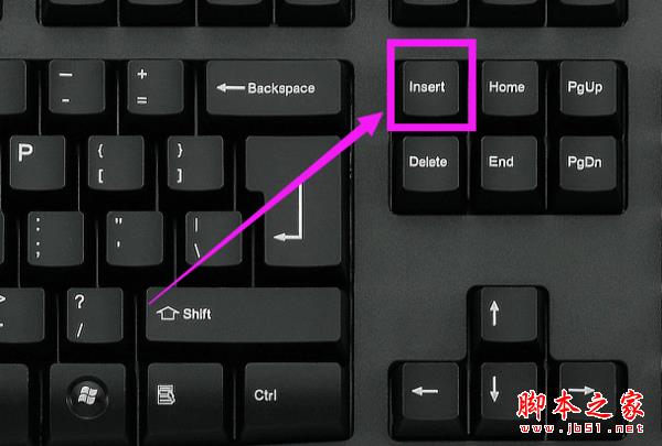 word打字后面的字消失如何解决 word打字后面的字消失解决方法攻略大全(图1)