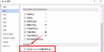 word中无法打印图形怎么办 打印图形不显示的设置方法(图7) word打印图形不显示的设置方法