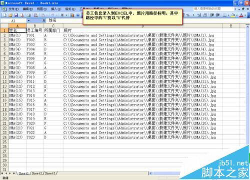 word怎么利用邮件合并功能批量制作胸卡和工作证?(图3)