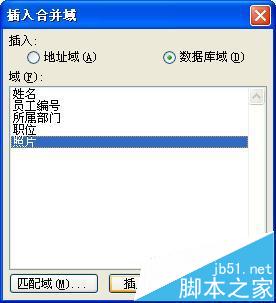 word怎么利用邮件合并功能批量制作胸卡和工作证?(图22)