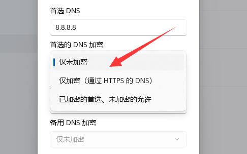Win11如何加密DNS-Win11加密DNS详细教程(图6) Win11加密DNS详细教程