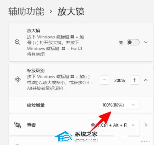 Win11放大镜有什么作用-Win11放大镜键盘快捷方式汇总(图1)