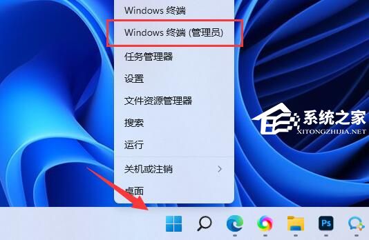 Win11怎么安装微软商店-Microsoft Store的安装方法(图1)