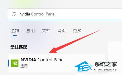 Win11右键没有nvidia控制面板怎么办(图6)