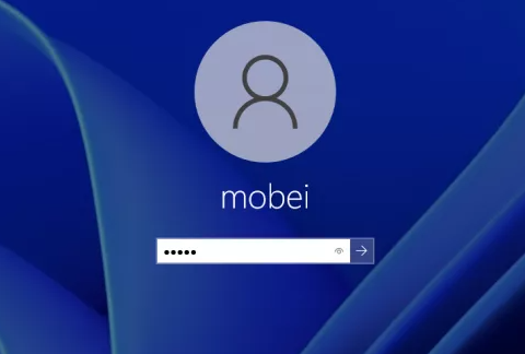 Windows11安装不了是怎么回事?Windows11图文安装教程详细介绍(图31) Windows11安装不了