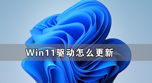 Win11驱动不兼容怎么办 Win11驱动怎么更新和安装(图1) Win11驱动怎么更新和安装