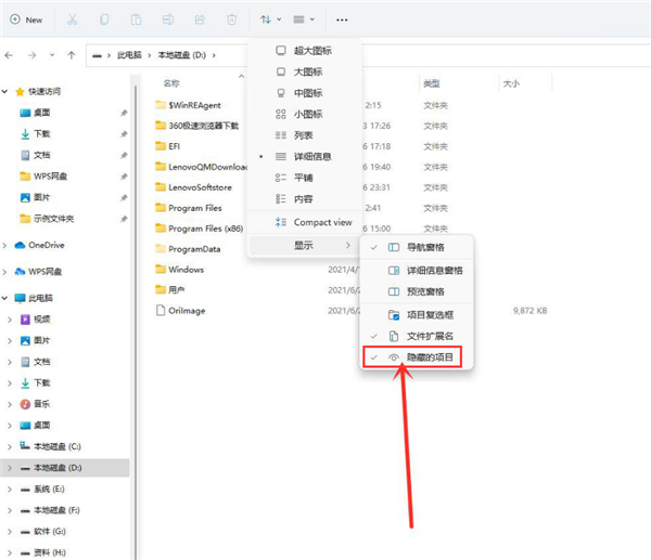 Win11怎么查看隐藏项目?Win11查看隐藏项目的方法(图3) Win11怎么查看隐藏项目?