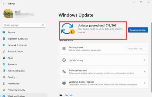 Win11怎么设置暂停更新?Win11暂停更新设置方法(图5) Win11怎么设置暂停更新