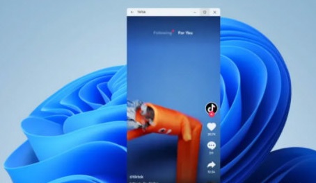 Windows11怎么看都抖音?Windows11看抖音方法详细介绍(图3) Windows11看抖音方法