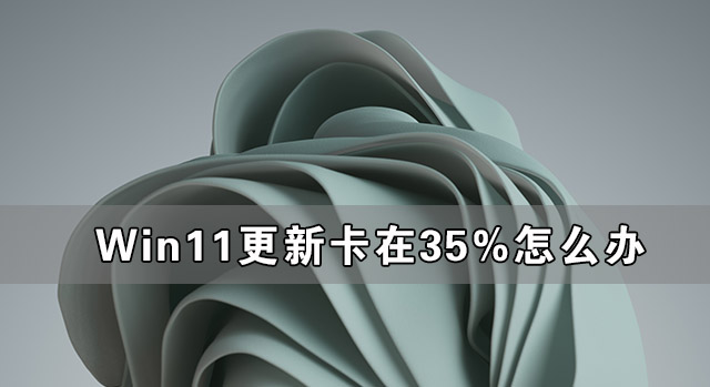 Win11更新卡在35%怎么办 Win11更新卡在35%的解决办法(图1) Win11更新卡在35%怎么办