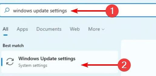 Win11摄像头打不开怎么办?Win11摄像头打不开的解决方法(图4) Win11摄像头打不开怎么办?