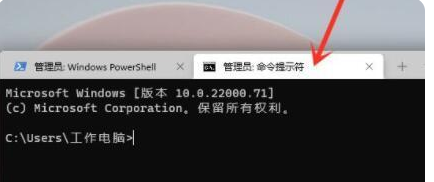 Win11命令提示符怎么打开 Win11命令提示符打开方法(图5) Win11命令提示符怎么打开