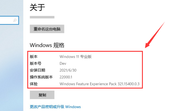 Win11系统如何查看自己的版号?Win11系统查看版号的方法(图5) Win11系统如何查看自己的版号?