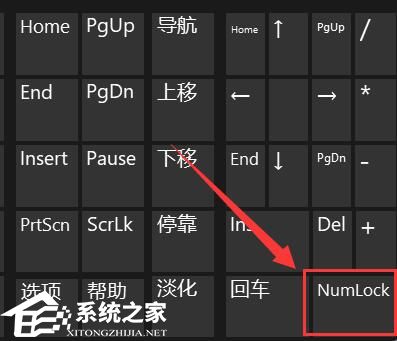 电脑键盘打不了字怎么办?电脑打键盘不了字的解决方法(图6)